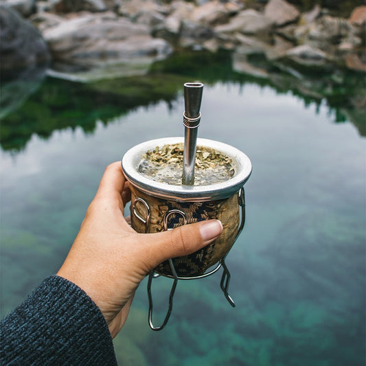All About Yerba Mate and its Amazing Health Benefits - Firebelly Tea CA
