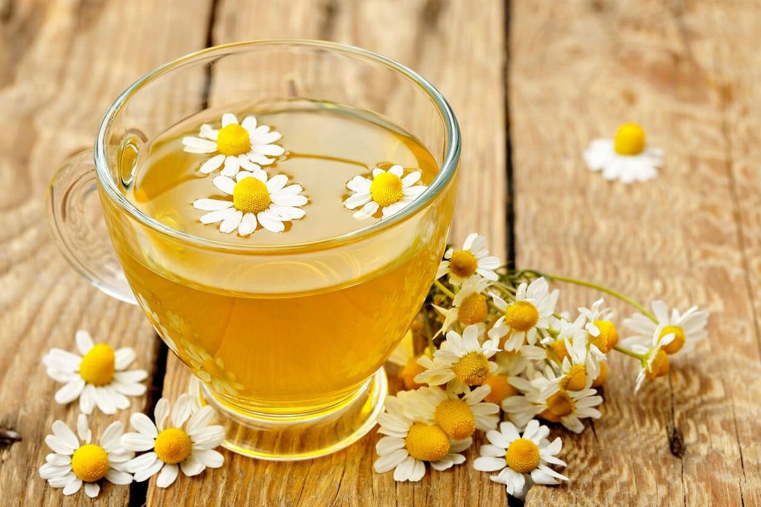 Chamomile Tea Health Benefits: An Ancient Medicine Backed By Science - Firebelly Tea CA