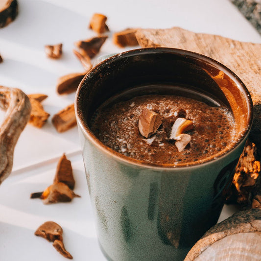 The Power of Adaptogenic Mushrooms and Tea - Firebelly Tea CA
