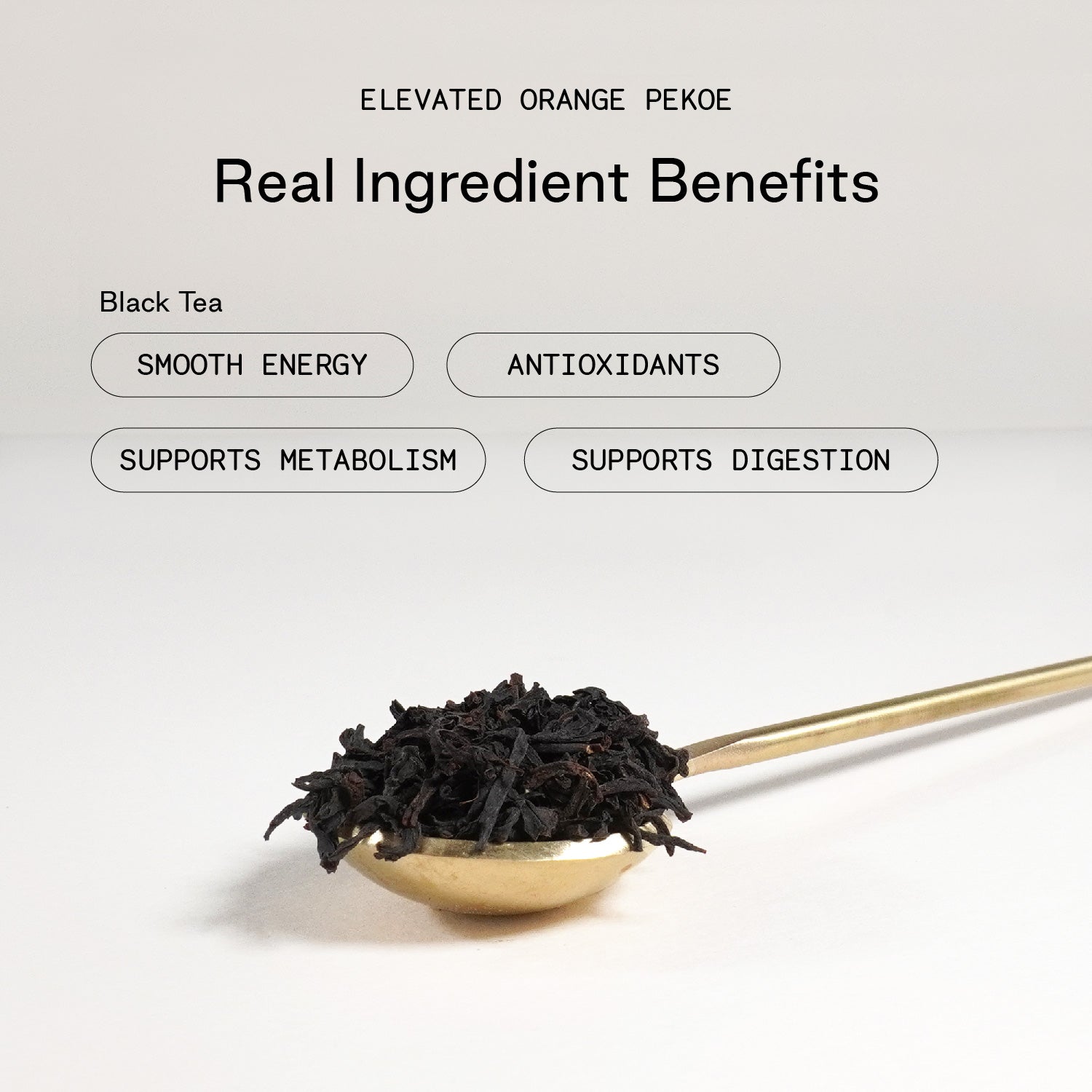 Elevated Orange Pekoe