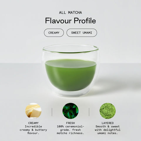 Meet Your Matcha - Firebelly Tea